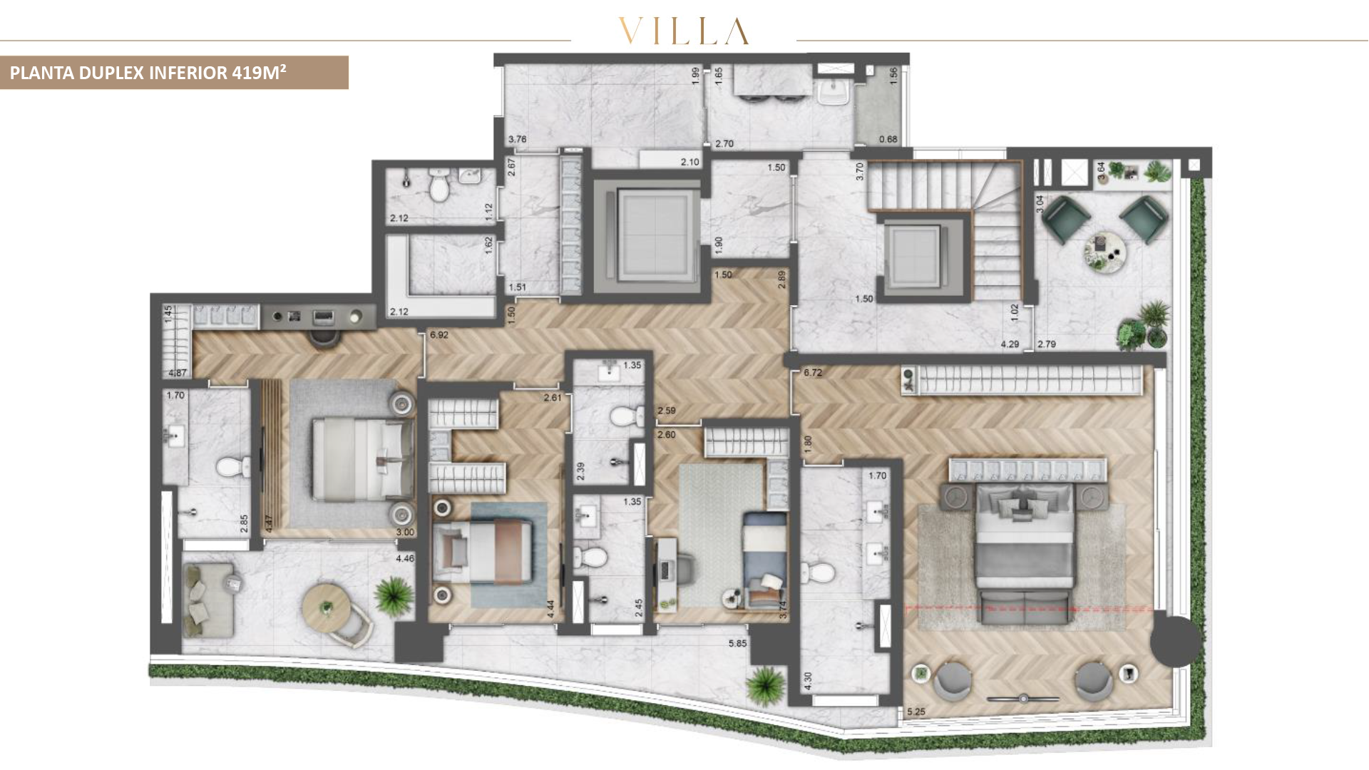 Planta 419